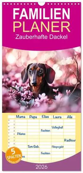 Bee / CALVENDO |  Familienplaner 2026 - Zauberhafte Dackel mit 5 Spalten (Wandkalender, 21 x 45 cm) CALVENDO | Sonstiges |  Sack Fachmedien