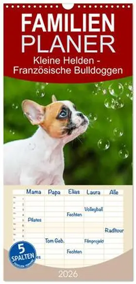 Starick / CALVENDO |  Familienplaner 2026 - Kleine Helden - Französische Bulldoggen mit 5 Spalten (Wandkalender, 21 x 45 cm) CALVENDO | Sonstiges |  Sack Fachmedien