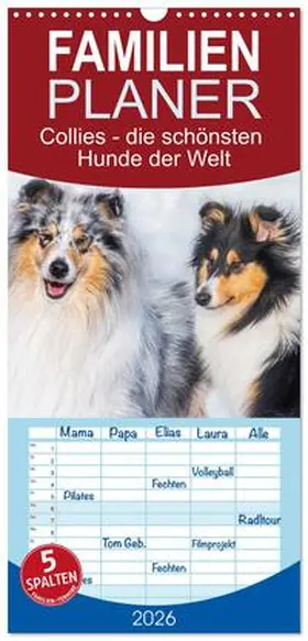 Starick / CALVENDO |  Familienplaner 2026 - Collies - die schönsten Hunde der Welt mit 5 Spalten (Wandkalender, 21 x 45 cm) CALVENDO | Sonstiges |  Sack Fachmedien