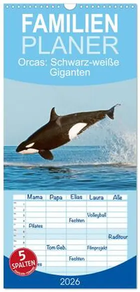 CALVENDO |  Familienplaner 2026 - Orcas: Schwarz-weiße Giganten mit 5 Spalten (Wandkalender, 21 x 45 cm) CALVENDO | Sonstiges |  Sack Fachmedien