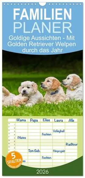 Starick / CALVENDO |  Familienplaner 2026 - Goldige Aussichten - Mit Golden Retriever Welpen durch das Jahr mit 5 Spalten (Wandkalender, 21 x 45 cm) CALVENDO | Sonstiges |  Sack Fachmedien