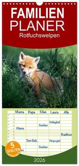 Oberholzer / CALVENDO |  Familienplaner 2026 - Rotfuchswelpen mit 5 Spalten (Wandkalender, 21 x 45 cm) CALVENDO | Sonstiges |  Sack Fachmedien