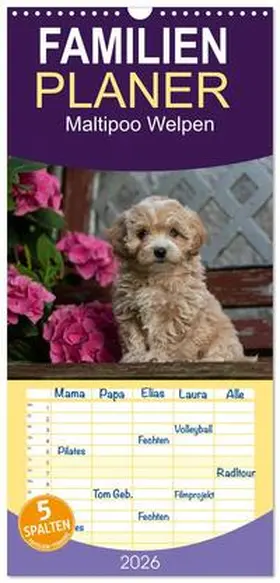 Schultz / CALVENDO |  Familienplaner 2026 - Maltipoo Welpen mit 5 Spalten (Wandkalender, 21 x 45 cm) CALVENDO | Sonstiges |  Sack Fachmedien
