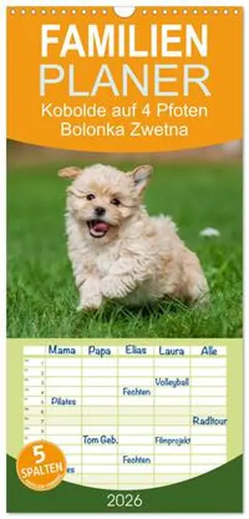 Starick / CALVENDO |  Familienplaner 2026 - Kobolde auf 4 Pfoten - Bolonka Zwetna mit 5 Spalten (Wandkalender, 21 x 45 cm) CALVENDO | Sonstiges |  Sack Fachmedien