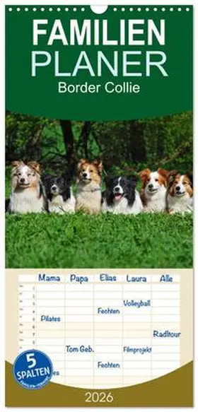 Starick / CALVENDO |  Familienplaner 2026 - Border Collie 2026 mit 5 Spalten (Wandkalender, 21 x 45 cm) CALVENDO | Sonstiges |  Sack Fachmedien