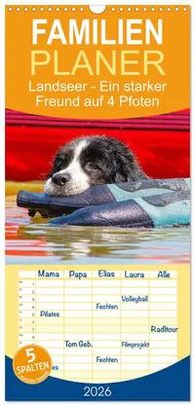 Starick / CALVENDO |  Familienplaner 2026 - Landseer - Ein starker Freund auf 4 Pfoten mit 5 Spalten (Wandkalender, 21 x 45 cm) CALVENDO | Sonstiges |  Sack Fachmedien