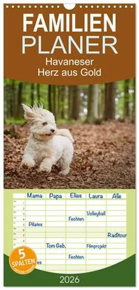 Mayer / CALVENDO |  Familienplaner 2026 - Havaneser - Herz aus Gold mit 5 Spalten (Wandkalender, 21 x 45 cm) CALVENDO | Sonstiges |  Sack Fachmedien