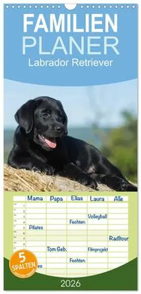 Starick / CALVENDO |  Familienplaner 2026 - Labrador Retriever 2026 mit 5 Spalten (Wandkalender, 21 x 45 cm) CALVENDO | Sonstiges |  Sack Fachmedien