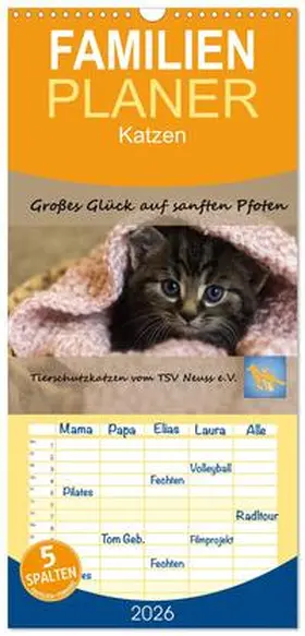 B / CALVENDO |  Familienplaner 2026 - Tierschutzkatzen vom TSV-Neuss - Großes Glück auf sanften Pfoten mit 5 Spalten (Wandkalender, 21 x 45 cm) CALVENDO | Sonstiges |  Sack Fachmedien