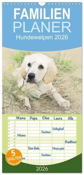 Redecker / CALVENDO |  Familienplaner 2026 - Hundewelpen 2026 mit 5 Spalten (Wandkalender, 21 x 45 cm) CALVENDO | Sonstiges |  Sack Fachmedien