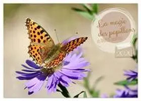 Rau / CALVENDO |  LA MAGIE DES PAPILLONS (Calendrier de bureau 2026 DIN A5 vertical), CALVENDO calendrier mensuel | Sonstiges |  Sack Fachmedien