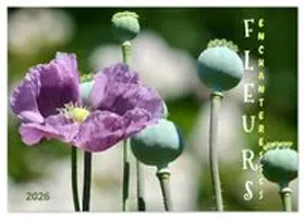 CALVENDO / Rau |  DES FLEURS ENCHANTERESSES (Calendrier de bureau 2026 DIN A5 vertical), CALVENDO calendrier mensuel | Sonstiges |  Sack Fachmedien