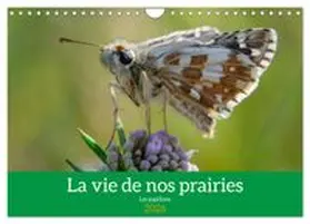 CALVENDO / Gaymard |  La vie de nos prairie, les papillons (Calendrier mural 2026 DIN A4 vertical), CALVENDO calendrier mensuel | Sonstiges |  Sack Fachmedien