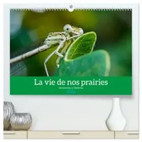 CALVENDO / Gaymard |  La vie de nos prairies - Demoiselles et libellules  (Calendrier mural 2026 DIN A2 vertical) calendrier de bureau | Sonstiges |  Sack Fachmedien