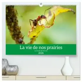 CALVENDO / Gaymard |  La vie de nos prairies - Le monde des fourmis  (Calendrier mural 2026 DIN A2 vertical) calendrier de bureau | Sonstiges |  Sack Fachmedien