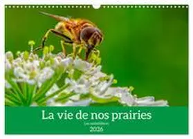 Gaymard / CALVENDO |  La vie de nos prairie, les ombellifères (Calendrier mural 2026 DIN A3 vertical), CALVENDO calendrier mensuel | Sonstiges |  Sack Fachmedien