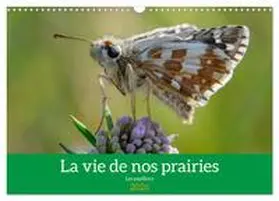 CALVENDO / Gaymard |  La vie de nos prairie, les papillons (Calendrier mural 2026 DIN A3 vertical), CALVENDO calendrier mensuel | Sonstiges |  Sack Fachmedien