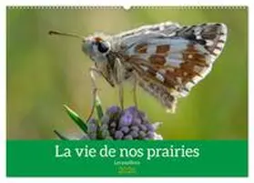 Gaymard / CALVENDO |  La vie de nos prairie, les papillons (Calendrier mural 2026 DIN A2 vertical), CALVENDO calendrier mensuel | Sonstiges |  Sack Fachmedien