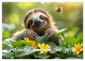 CALVENDO / Grohs |  sweet sloths - relaxed throughout the year (Wall Calendar 2026 DIN A3 landscape), CALVENDO 12 Month Wall Calendar | Sonstiges |  Sack Fachmedien