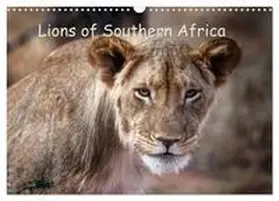 CALVENDO / Olbrich |  Lions of Southern Africa (Wall Calendar 2026 DIN A3 landscape), CALVENDO 12 Month Wall Calendar | Sonstiges |  Sack Fachmedien