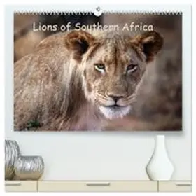 CALVENDO / Olbrich |  Lions of Southern Africa (High Quality Premium Wall Calendar 2026 DIN A2 landscape),CALVENDO 12 Month Wall Calendar | Sonstiges |  Sack Fachmedien