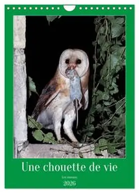 CALVENDO / Gaymard |  Une chouette de vie, les oiseaux (Calendrier mural 2026 DIN A4 horizontal), CALVENDO calendrier mensuel | Sonstiges |  Sack Fachmedien