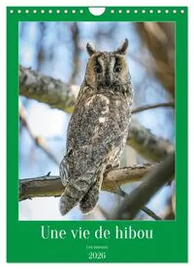CALVENDO / Gaymard |  Une vie de hibou les oiseaux (Calendrier mural 2026 DIN A4 horizontal), CALVENDO calendrier mensuel | Sonstiges |  Sack Fachmedien