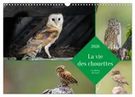 CALVENDO / Gaymard |  La vie des chouettes, les dames de la nuit (Calendrier mural 2026 DIN A3 vertical), CALVENDO calendrier mensuel | Sonstiges |  Sack Fachmedien