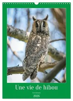 CALVENDO / Gaymard |  Une vie de hibou les oiseaux (Calendrier mural 2026 DIN A3 horizontal), CALVENDO calendrier mensuel | Sonstiges |  Sack Fachmedien