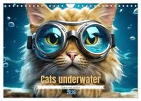 CALVENDO / Aupeix |  Cats underwater (Wall Calendar 2026 DIN A4 landscape), CALVENDO 12 Month Wall Calendar | Sonstiges |  Sack Fachmedien