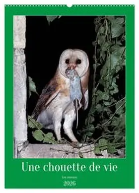 CALVENDO / Gaymard |  Une chouette de vie, les oiseaux (Calendrier mural 2026 DIN A2 horizontal), CALVENDO calendrier mensuel | Sonstiges |  Sack Fachmedien