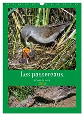 CALVENDO / Gaymard |  Les passereaux à l'orée de la vie (Calendrier mural 2026 DIN A3 horizontal), CALVENDO calendrier mensuel | Sonstiges |  Sack Fachmedien