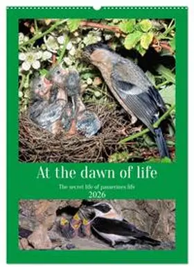 Gaymard / CALVENDO |  At the dawn of life the secret life of passerines (Wall Calendar 2026 DIN A2 portrait), CALVENDO 12 Month Wall Calendar | Sonstiges |  Sack Fachmedien