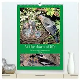 Gaymard / CALVENDO |  At the dawn of life the secret life of passerines (High Quality Premium Wall Calendar 2026 DIN A2 portrait),CALVENDO 12 Month Wall Calendar | Sonstiges |  Sack Fachmedien