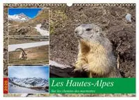Gaymard / CALVENDO |  Les Hautes-Alpes sur les chemins des marmottes (Calendrier mural 2026 DIN A3 vertical), CALVENDO calendrier mensuel | Sonstiges |  Sack Fachmedien
