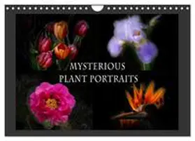 B-B Müller / CALVENDO |  Mysterious plant portraits (Wall Calendar 2026 DIN A4 landscape), CALVENDO 12 Month Wall Calendar | Sonstiges |  Sack Fachmedien