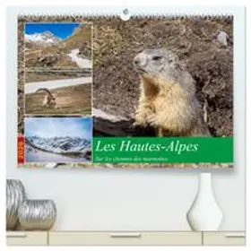 CALVENDO / Gaymard |  Les Hautes-Alpes sur les chemins des marmottes  (Calendrier mural 2026 DIN A2 vertical) calendrier de bureau | Sonstiges |  Sack Fachmedien