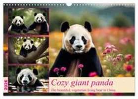 CALVENDO / Kleemann |  Cozy giant panda (Wall Calendar 2026 DIN A3 landscape), CALVENDO 12 Month Wall Calendar | Sonstiges |  Sack Fachmedien
