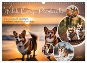 CALVENDO / Kleemann |  Welsh Corgi Pembroke (Wall Calendar 2026 DIN A3 landscape), CALVENDO 12 Month Wall Calendar | Sonstiges |  Sack Fachmedien