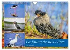 Gaymard / CALVENDO |  La faune de nos côtes les oiseaux (Calendrier mural 2026 DIN A4 vertical), CALVENDO calendrier mensuel | Sonstiges |  Sack Fachmedien