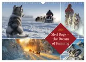 CALVENDO / Waurick |  Sled Dogs - the Dream of Running (Wall Calendar 2026 DIN A3 landscape), CALVENDO 12 Month Wall Calendar | Sonstiges |  Sack Fachmedien