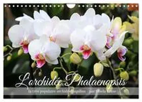 CALVENDO / Kruse |  L'orchidée Phalaenopsis (Calendrier mural 2026 DIN A4 vertical), CALVENDO calendrier mensuel | Sonstiges |  Sack Fachmedien