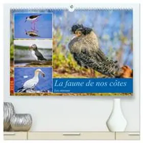 CALVENDO / Gaymard |  La faune de nos côtes les oiseaux  (Calendrier mural 2026 DIN A2 vertical) calendrier de bureau | Sonstiges |  Sack Fachmedien