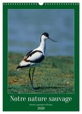 Alain Gaymard / CALVENDO |  Notre nature sauvage, oiseaux aquatiques d'Europe (Calendrier mural 2026 DIN A3 horizontal), CALVENDO calendrier mensuel | Sonstiges |  Sack Fachmedien