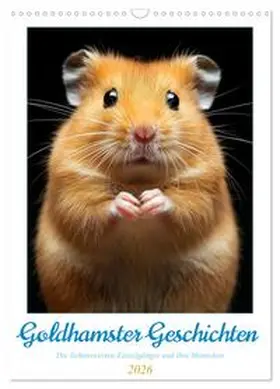 Waurick / CALVENDO |  Goldhamster Geschichten (Wandkalender 2026 DIN A3 hoch), CALVENDO Monatskalender | Sonstiges |  Sack Fachmedien
