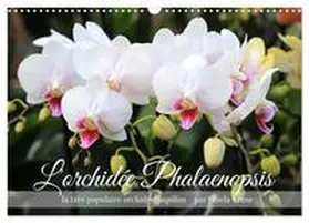 Kruse / CALVENDO |  L'orchidée Phalaenopsis (Calendrier mural 2026 DIN A3 vertical), CALVENDO calendrier mensuel | Sonstiges |  Sack Fachmedien