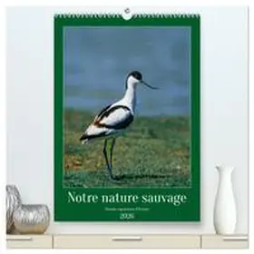Alain Gaymard / CALVENDO |  Notre nature sauvage, oiseaux aquatiques d'Europe  (Calendrier mural 2026 DIN A2 horizontal) calendrier de bureau | Sonstiges |  Sack Fachmedien