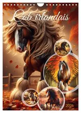 Warstat / CALVENDO |  Cob irlandais (Calendrier mural 2026 DIN A4 horizontal), CALVENDO calendrier mensuel | Sonstiges |  Sack Fachmedien
