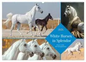 CALVENDO / Waurick |  White Horses in Splendor (Wall Calendar 2026 DIN A2 landscape), CALVENDO 12 Month Wall Calendar | Sonstiges |  Sack Fachmedien