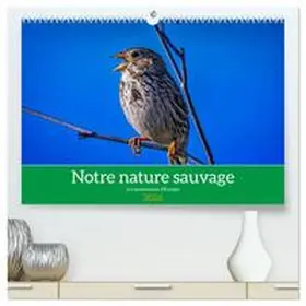 Gaymard / CALVENDO |  Notre nature sauvage, les passereaux d'Europe  (Calendrier mural 2026 DIN A2 vertical) calendrier de bureau | Sonstiges |  Sack Fachmedien